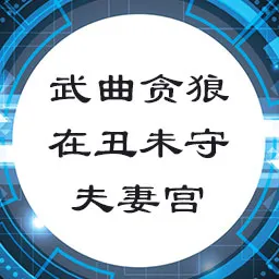 武曲贪狼在丑未守夫妻宫，天相星守命宫，集物欲、桃花、及刚克于一身