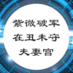 紫微破军在丑未守夫妻宫，若见桃花之星，最宜酒色财气事业