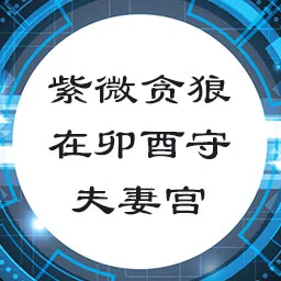 紫微贪狼在卯酉守夫妻宫，天相星守命宫，常对物质有着强大的需求