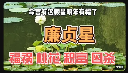 廉贞化禄在你十二宫不同位置解释 - 木头姐紫微