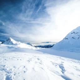 十二宫化忌入福德宫