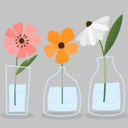 十二宫化禄入命宫