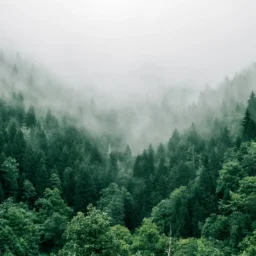 十二宫化禄入田宅宫