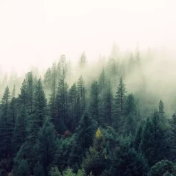 十二宫化禄入父母宫