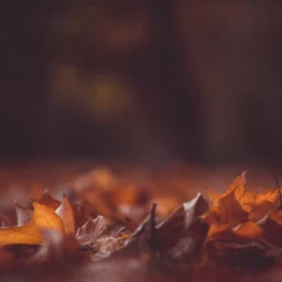 擎羊星、陀罗星双星论财运