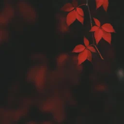 火星、铃星双星论财运