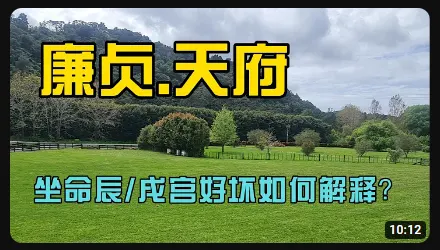 命宫廉贞天府，坐命辰戌 - 木头姐紫微