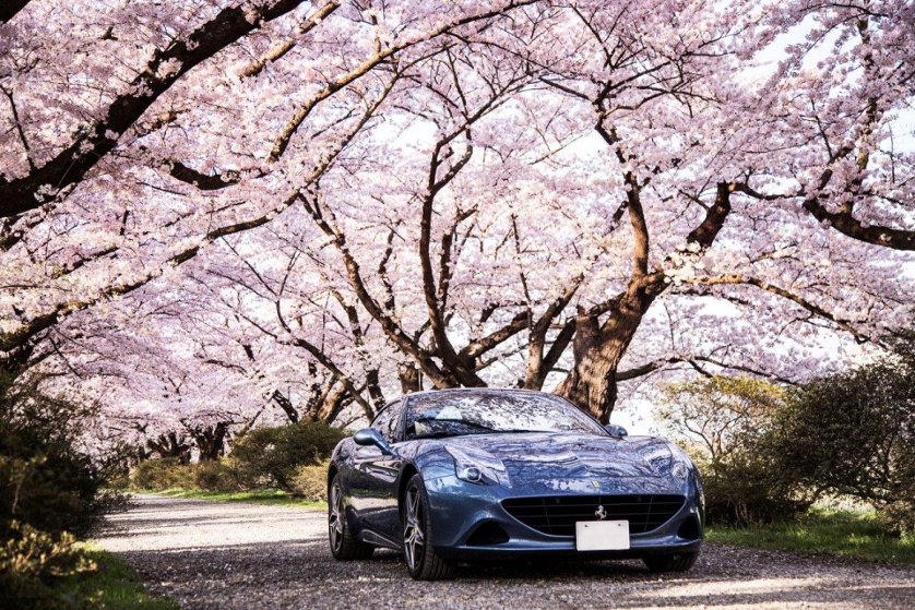 Ferrari California T