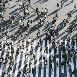 紫微十四主星相貌大全